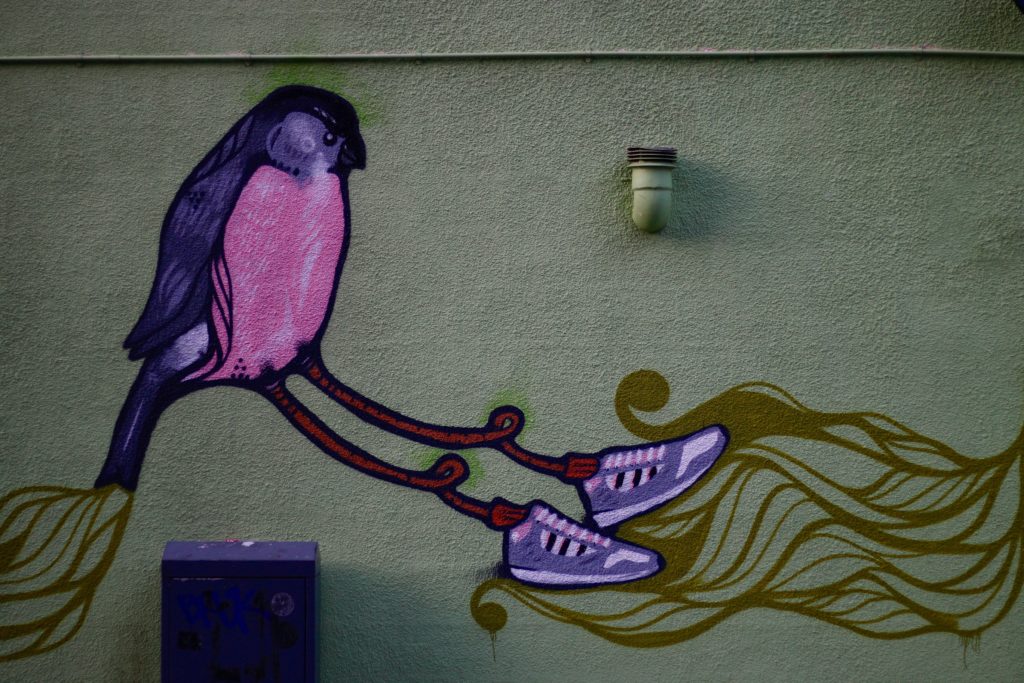 bird with shoes